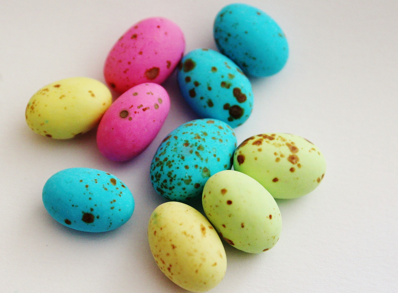 egg sweetness colorful free photo