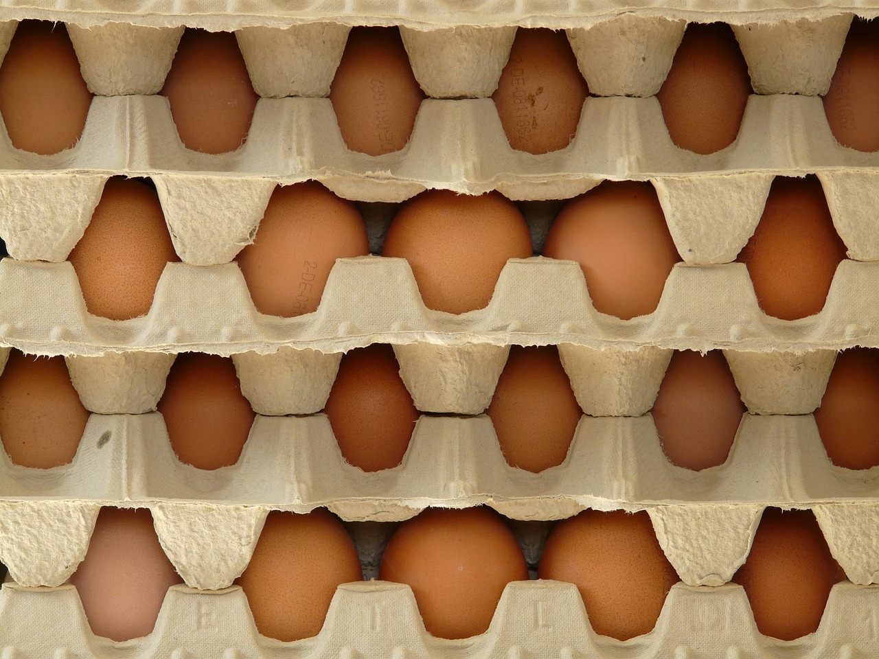 egg egg box food free photo
