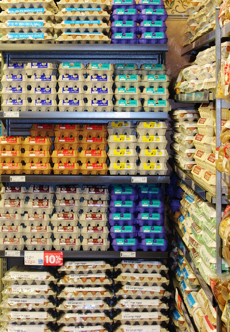 egg egg board egg shelf free photo