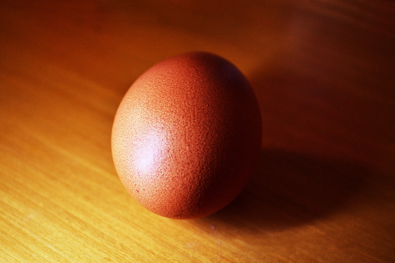 egg still life meditation free photo