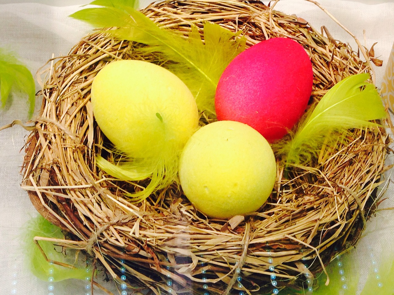 egg easter nest free photo