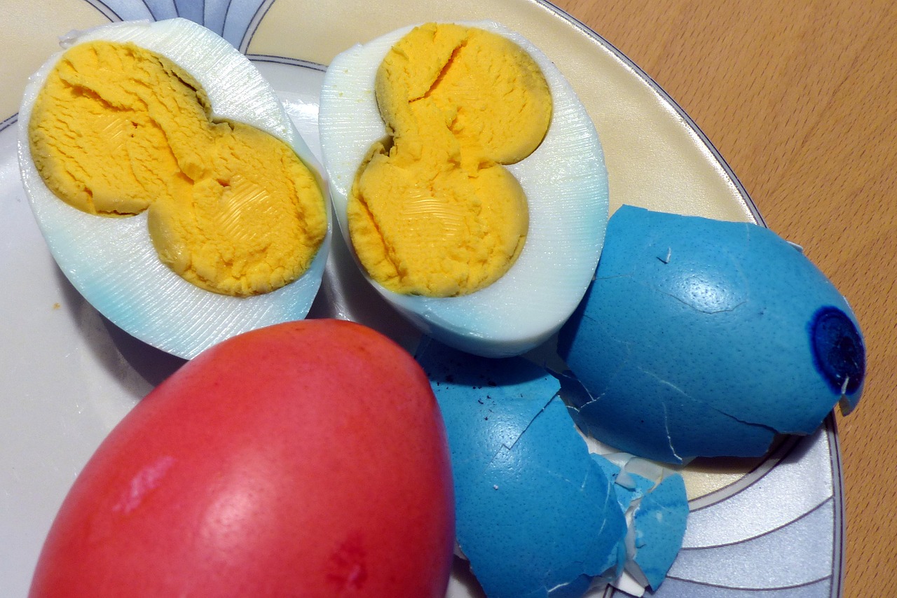 egg yolk double free photo