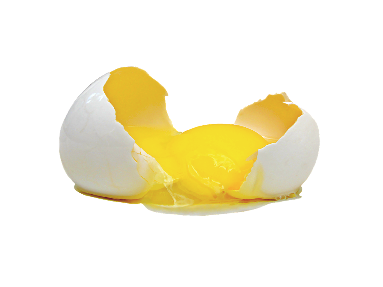 egg food egg yolk free photo