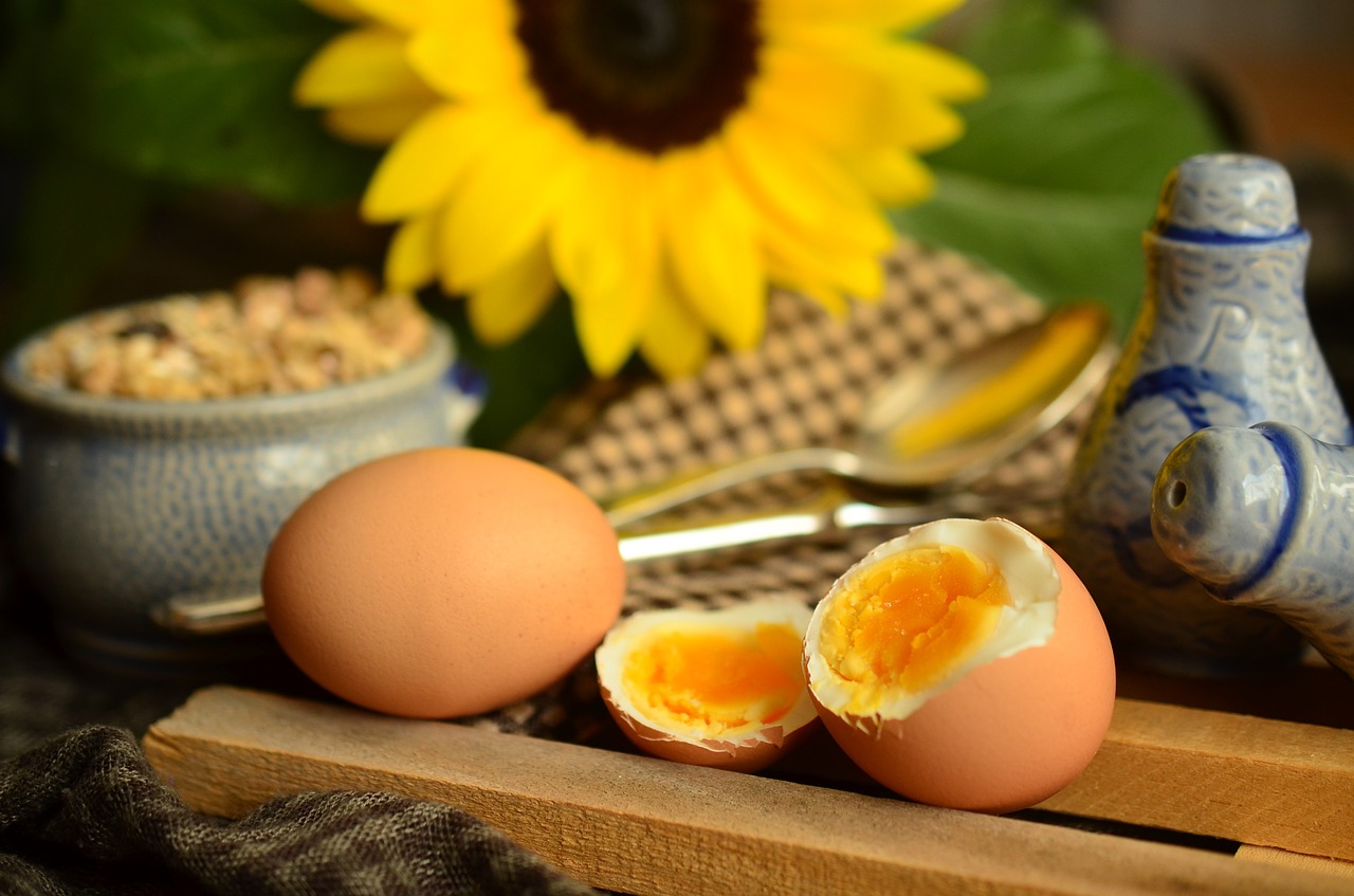 egg yolk boiled egg free photo