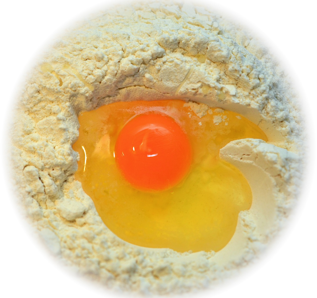egg yolk flour free photo