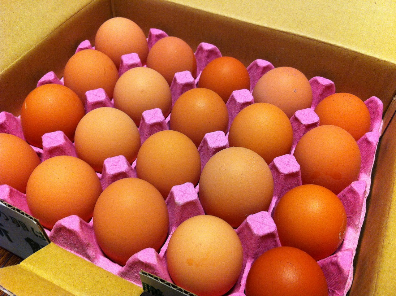 egg carton box of eggs egg box free photo