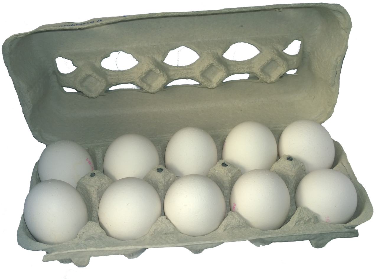 egg carton egg food free photo