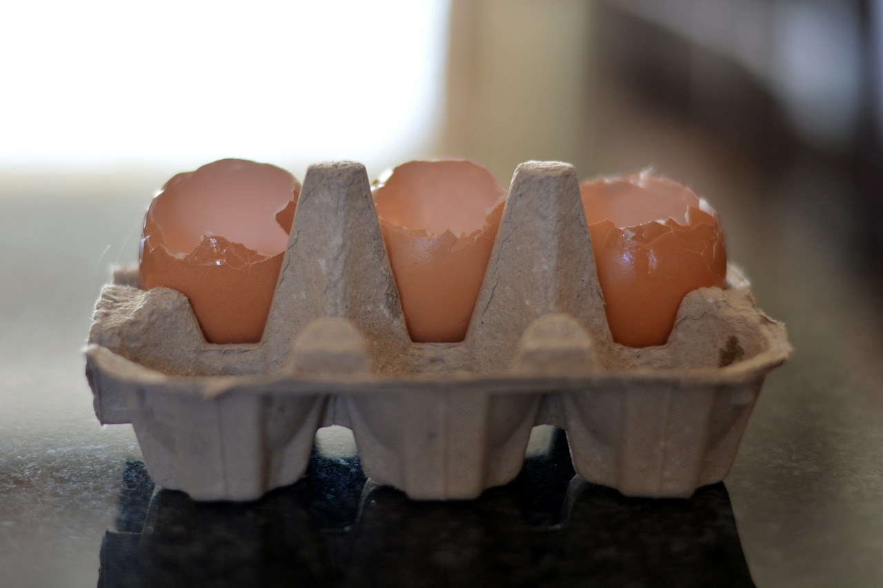 egg containers empty containers eggs free photo