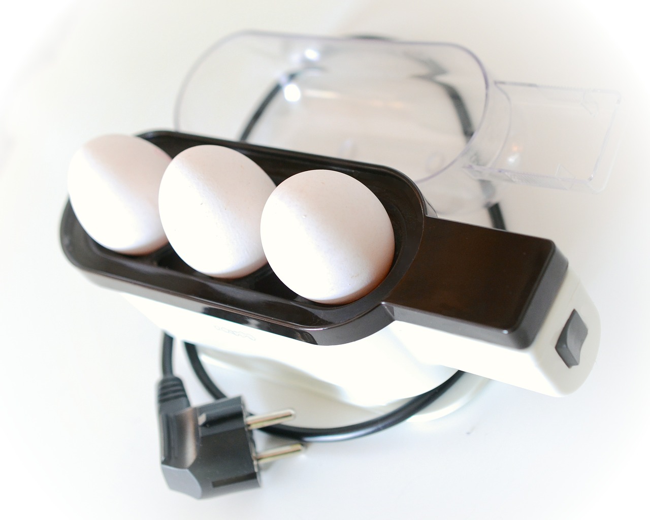 egg cooker egg current free photo