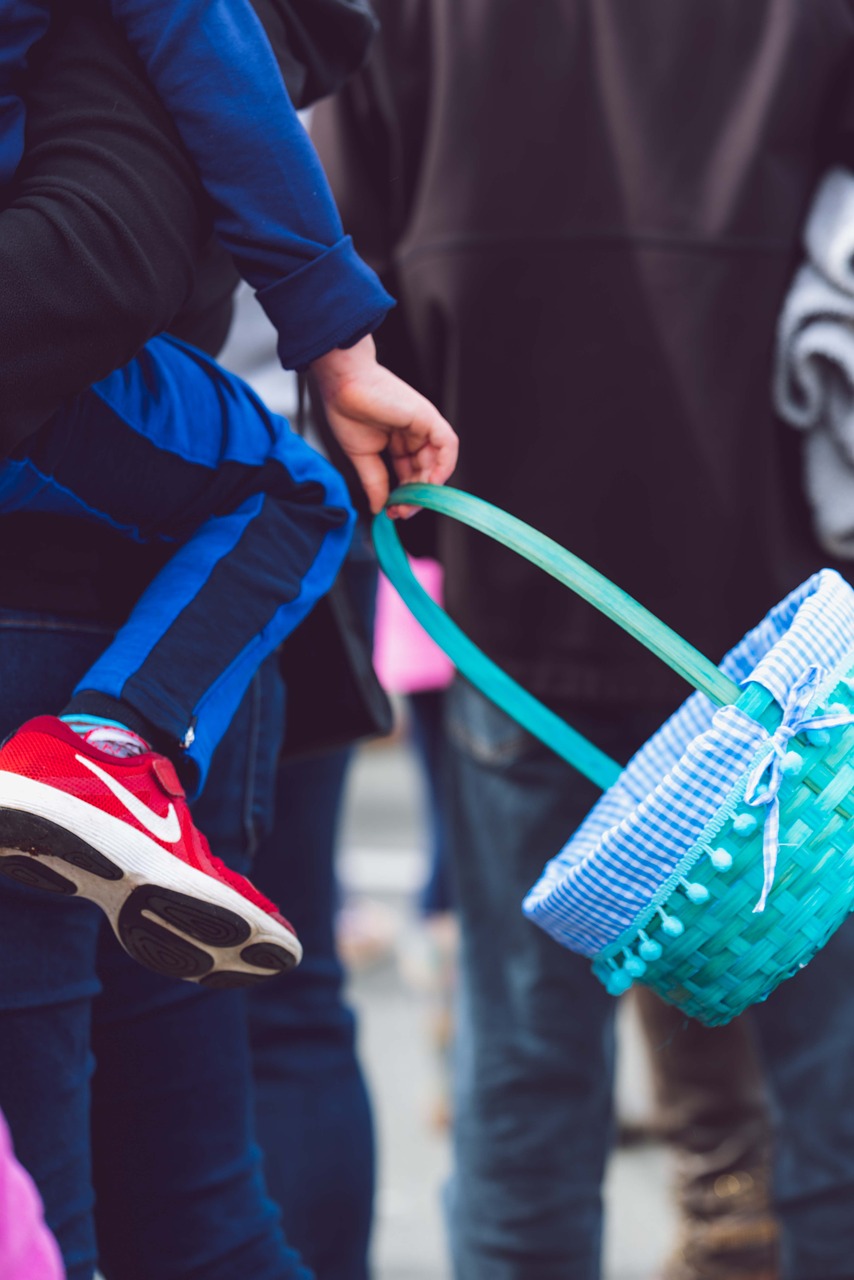 egg hunt  basket  child free photo