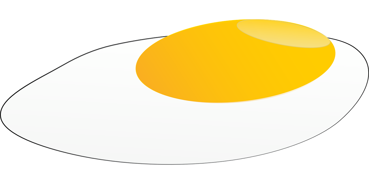 egg yolk fried egg egg free photo