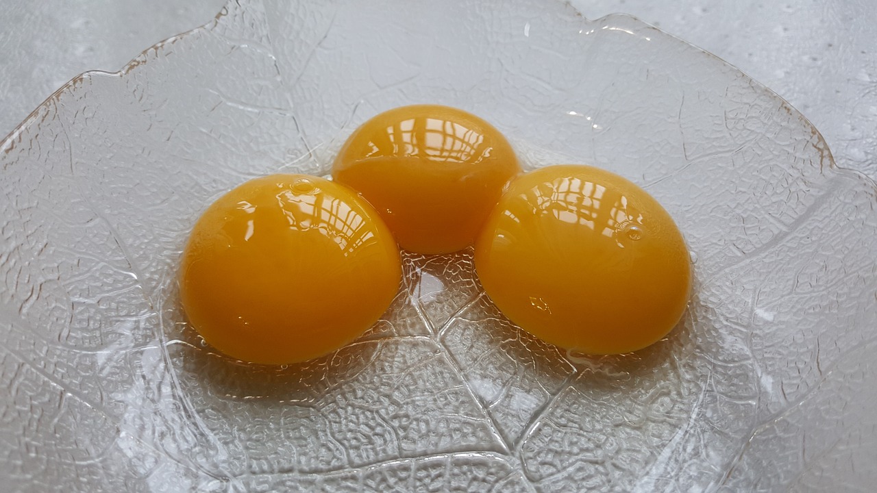 egg yolks yellow eggs free photo
