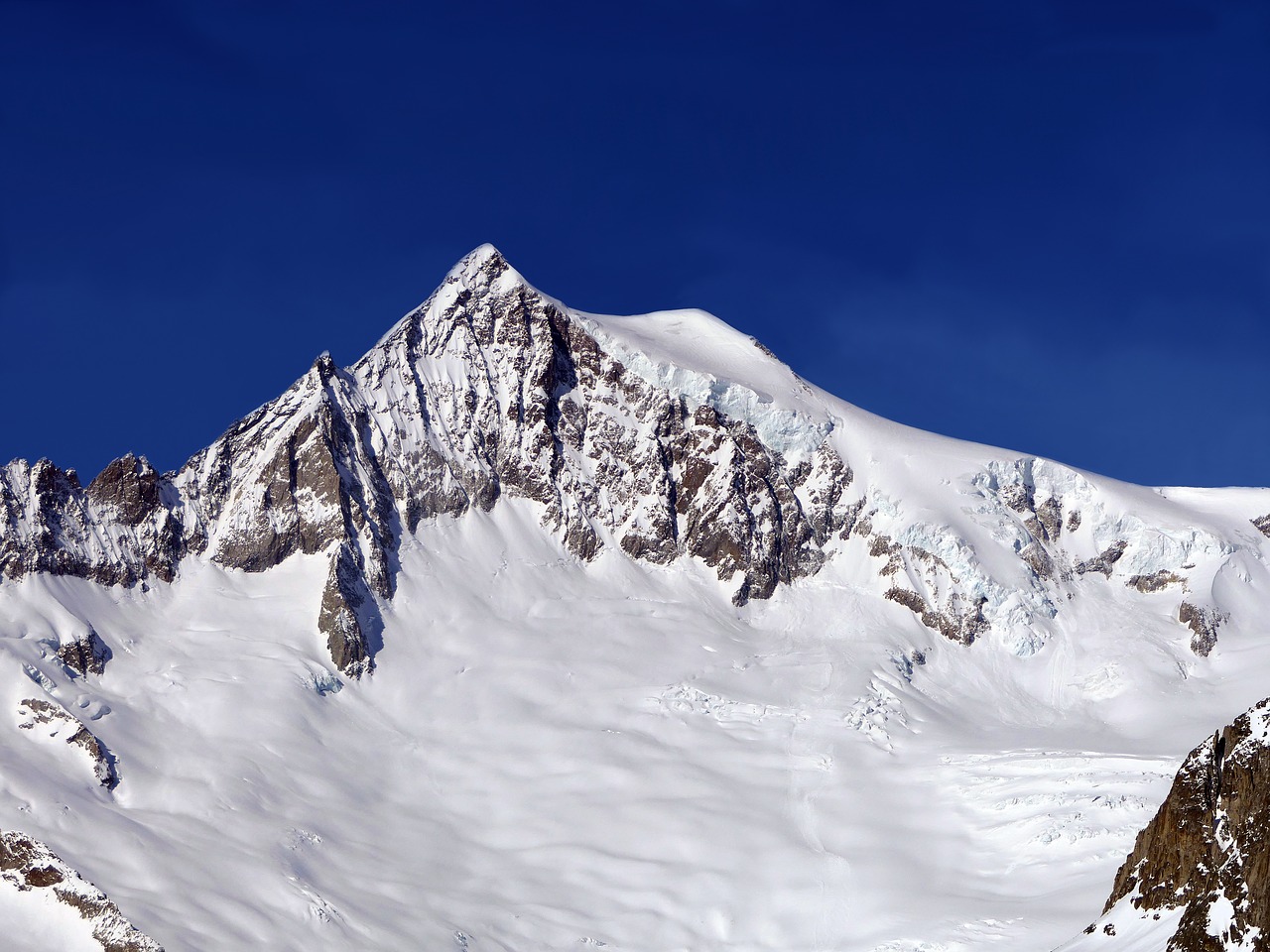 eggishorn alps mountain free photo