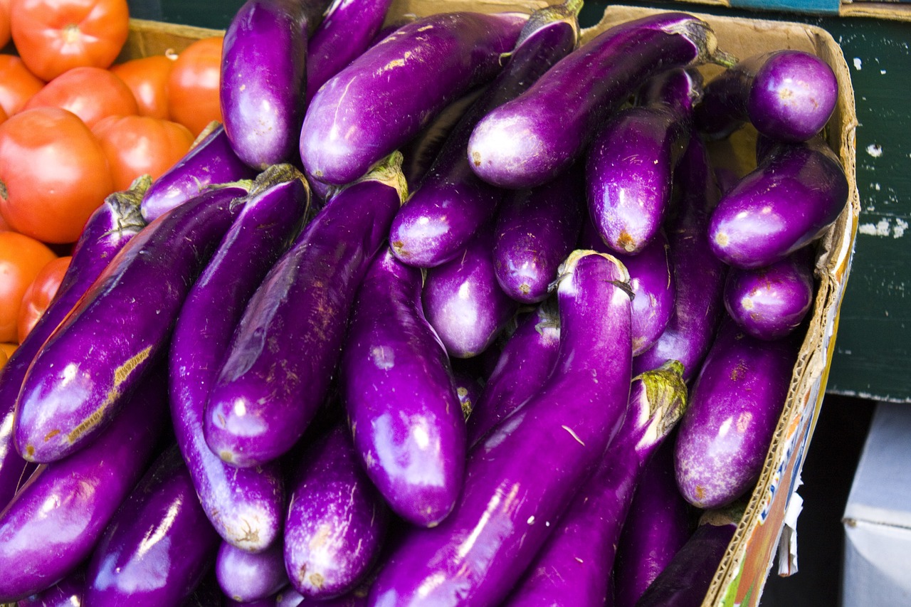 eggplant vegetable food free photo