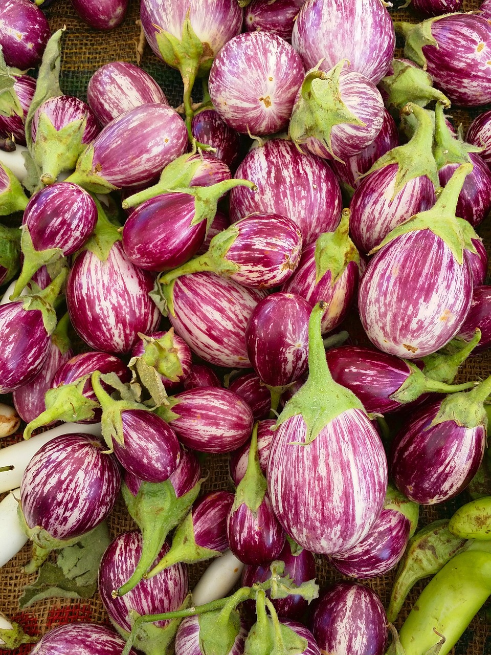 eggplant farmers market vegetables free photo