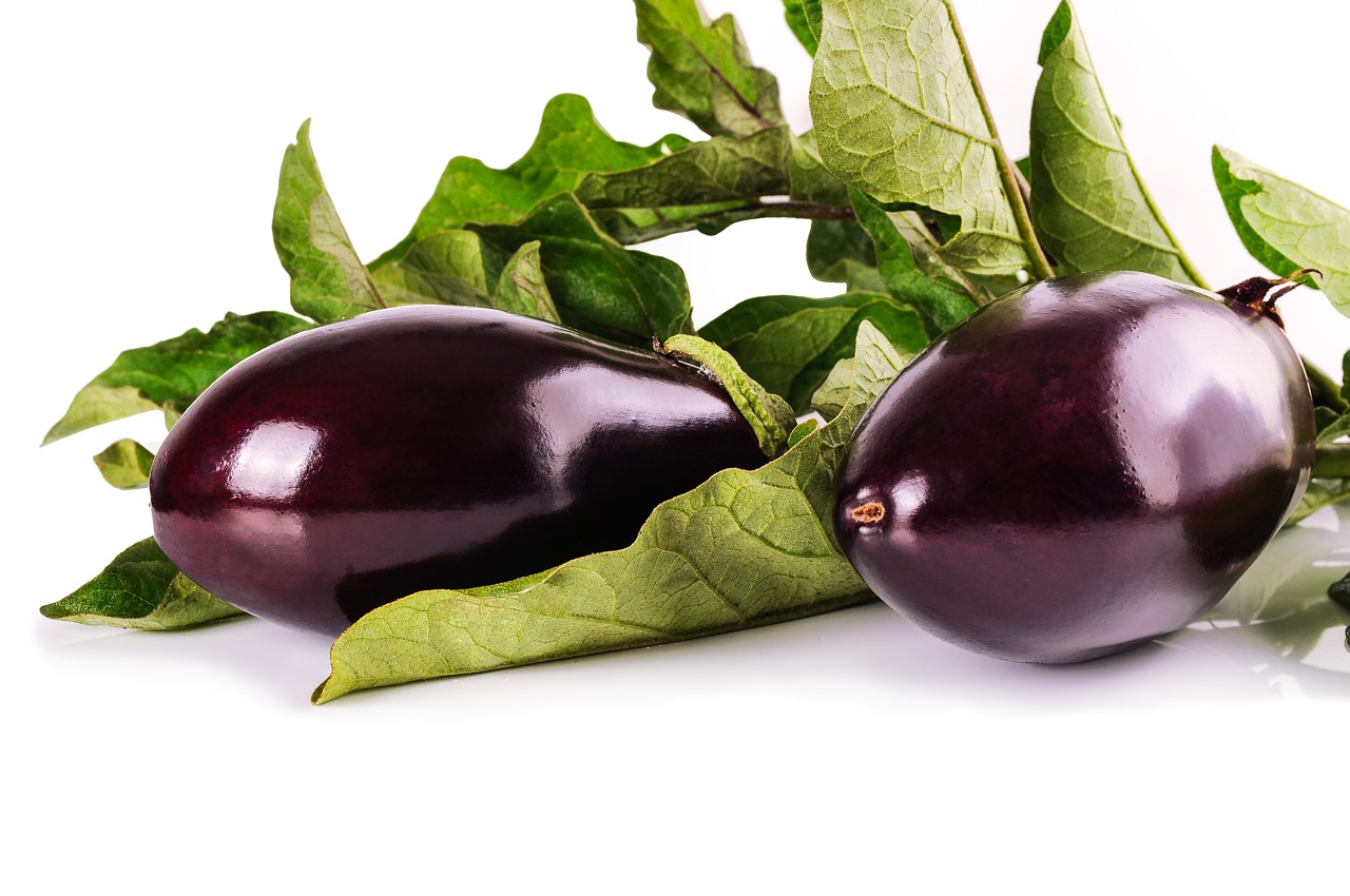 eggplant leaves vegetables free photo