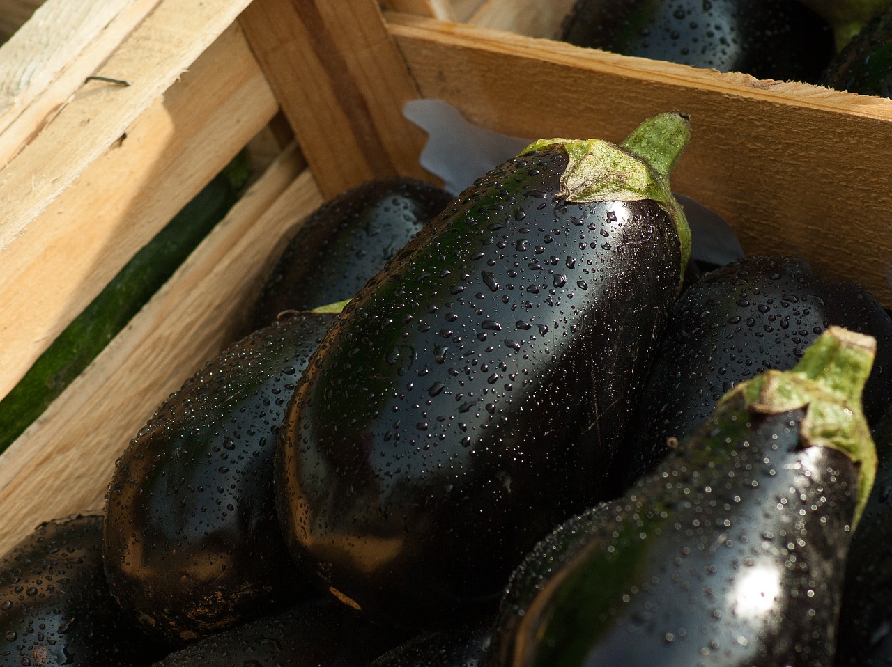 eggplant market vegetables free photo