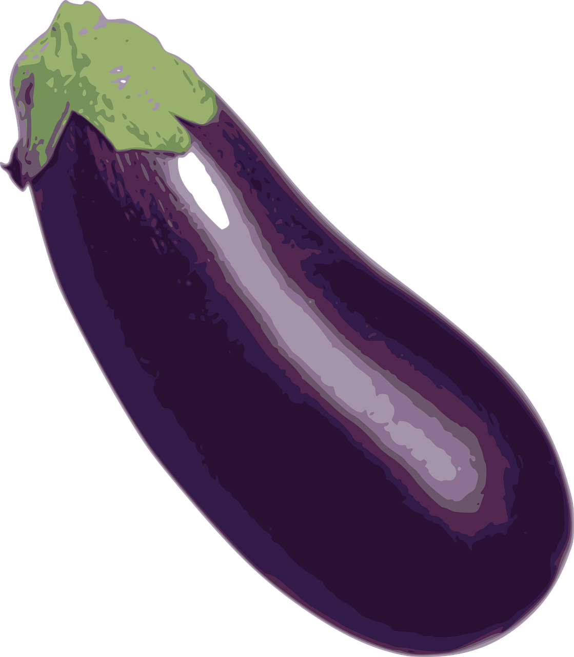 eggplant vegetable food free photo