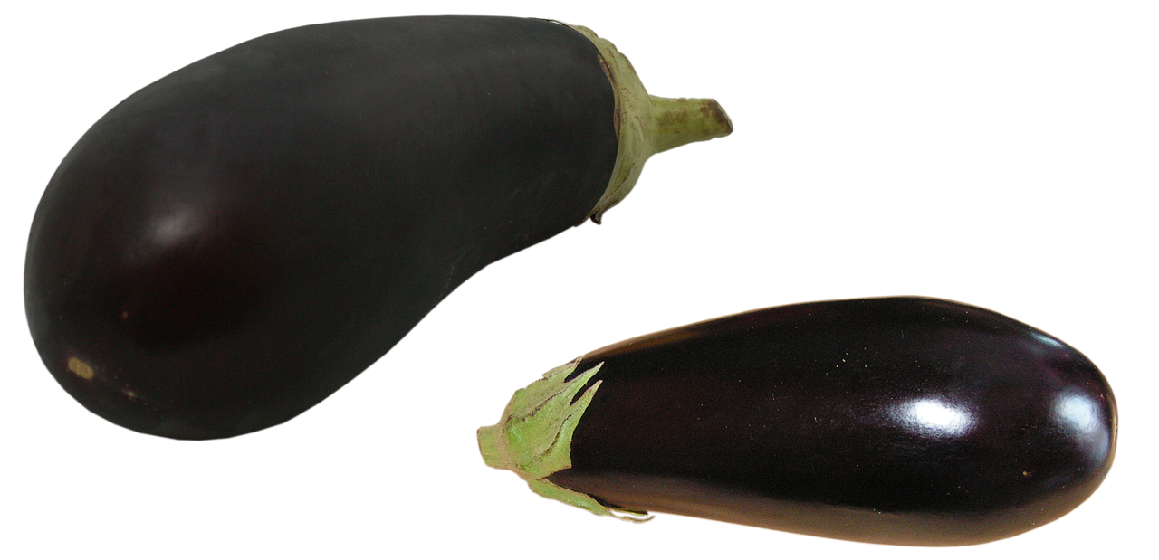 eggplant fruit a vegetable free photo