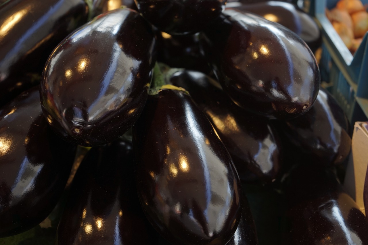 eggplant vegetables solanum melongena free photo