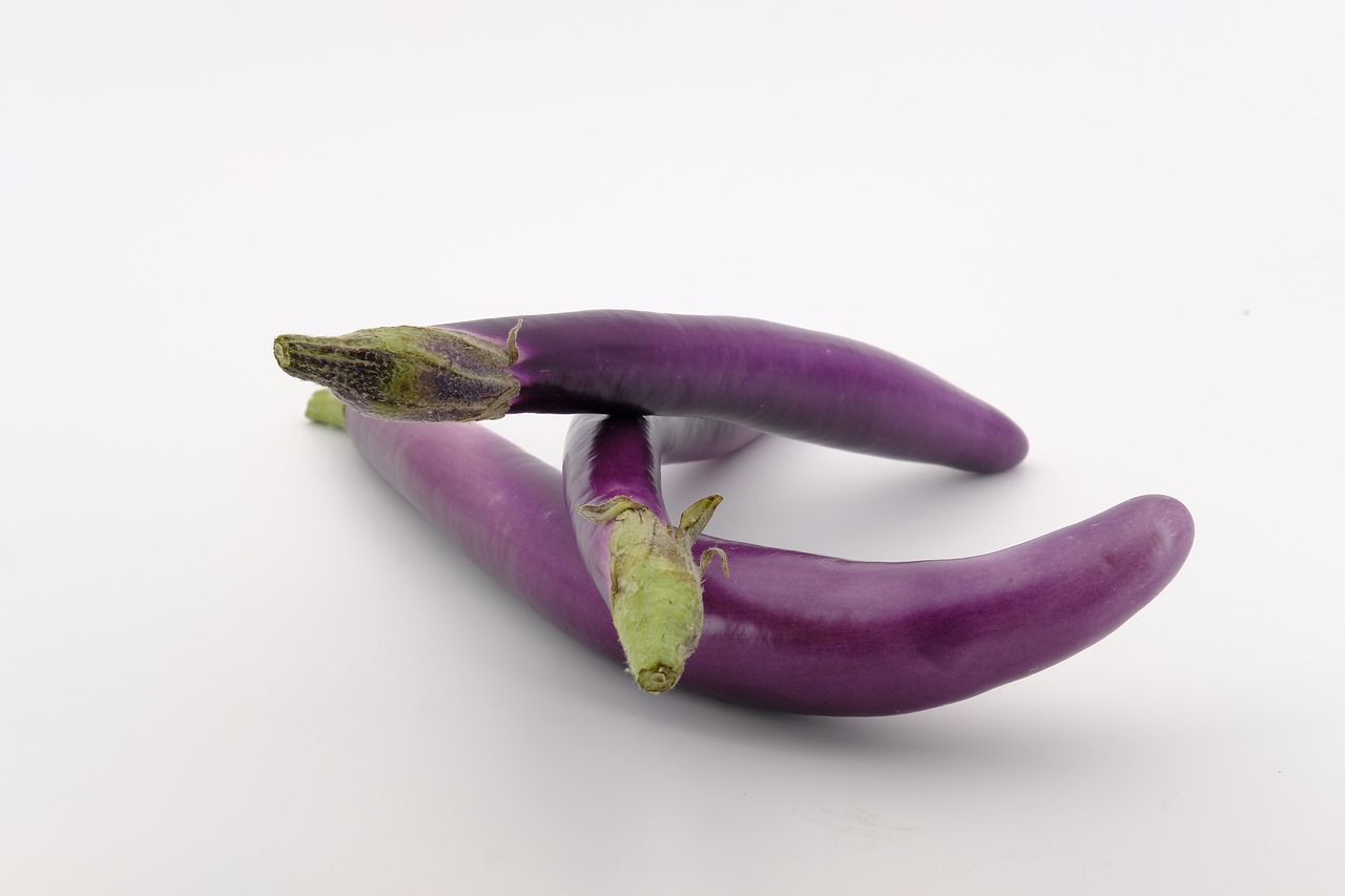 eggplant  melanzana  solanum melongena free photo