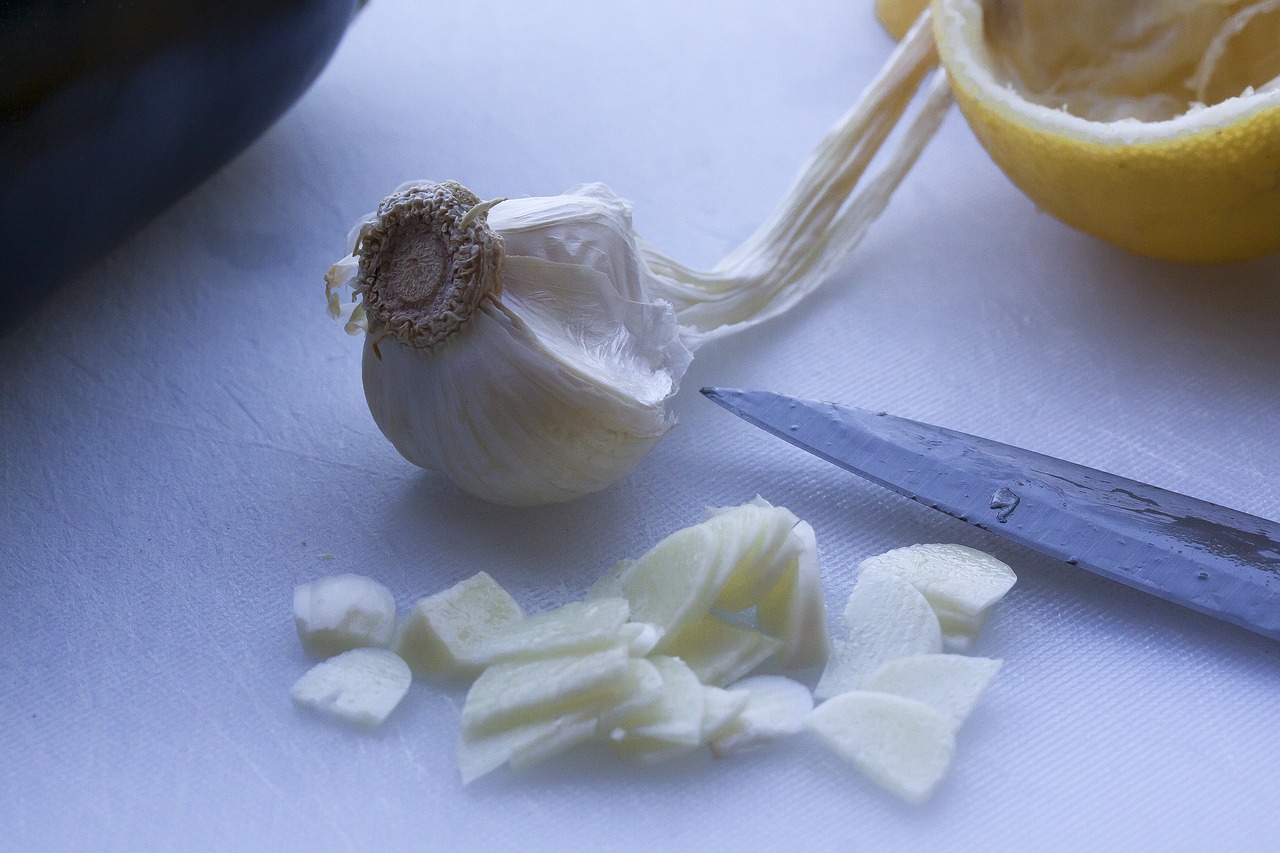 eggplant  lemon  garlic free photo