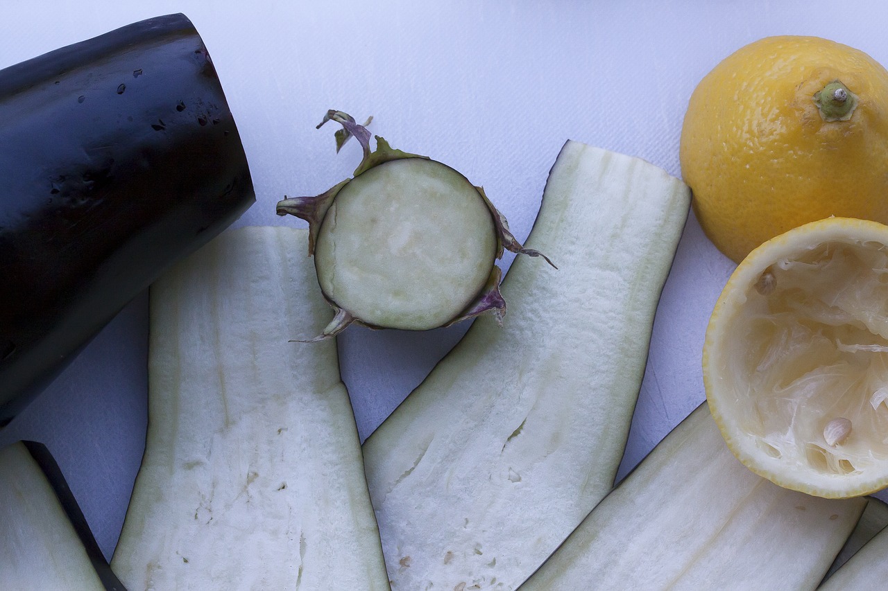 eggplant  sliced  lemon free photo