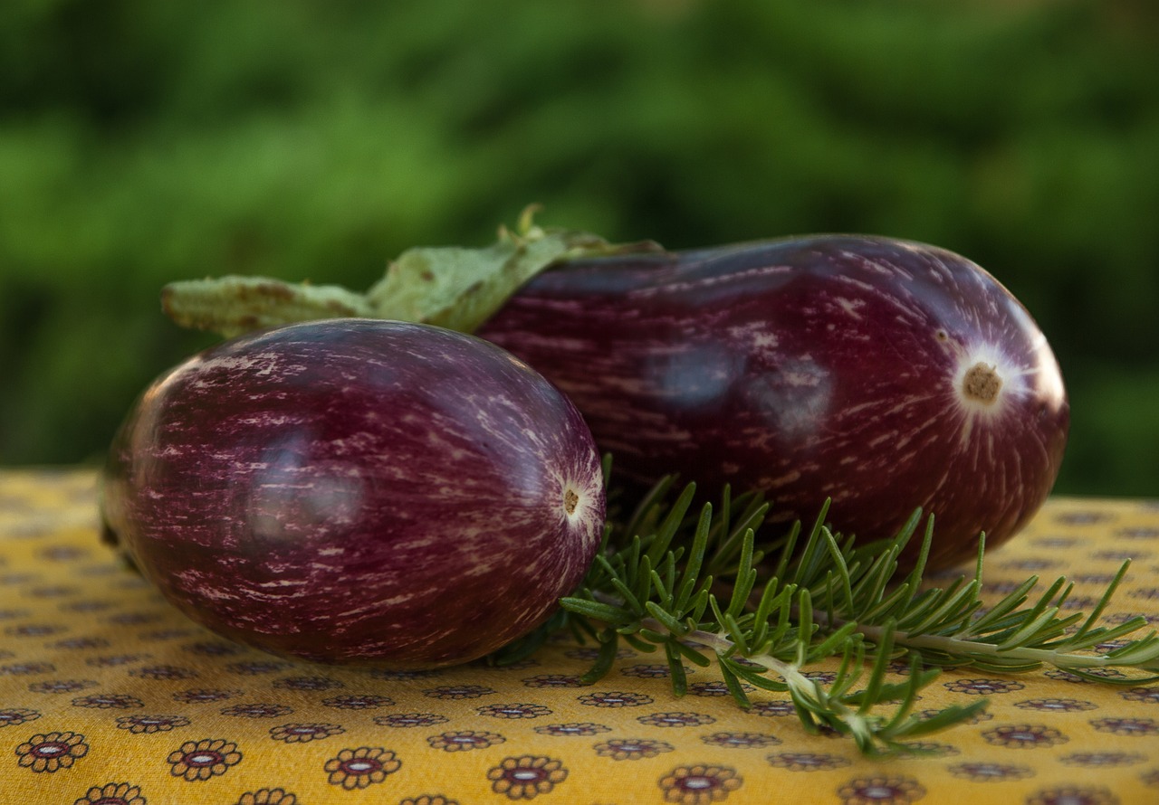 eggplant  rosemary  vegetable free photo