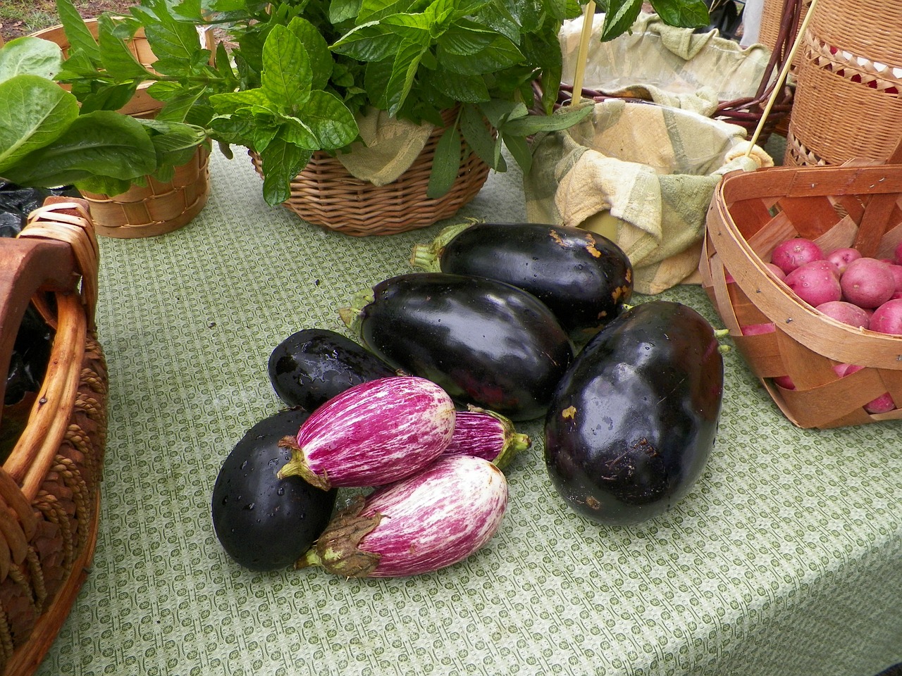 eggplant vegetables organic free photo