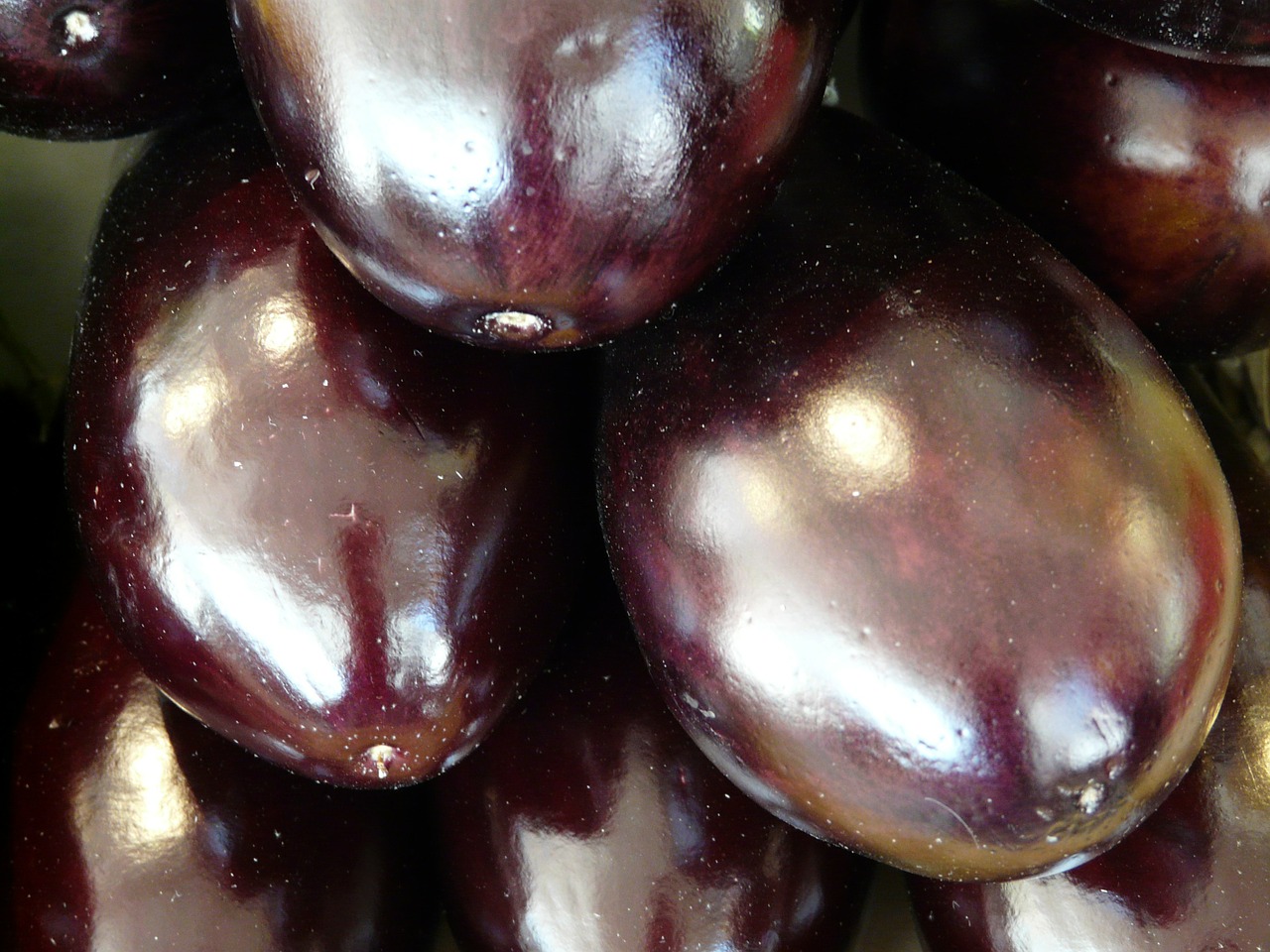 eggplant nachtschattengewächs violet free photo