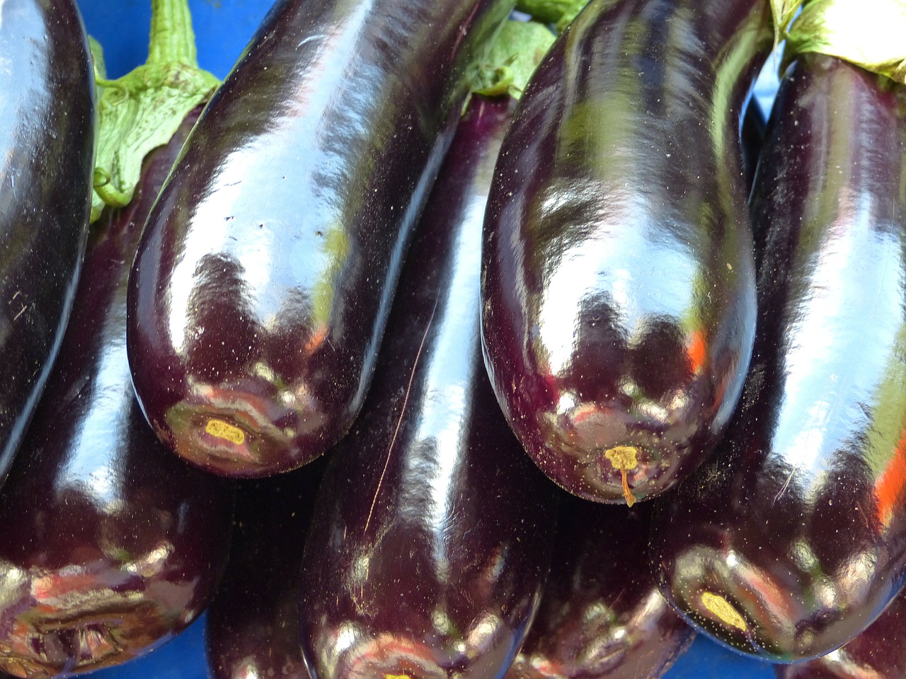 eggplant dark vegetables free photo