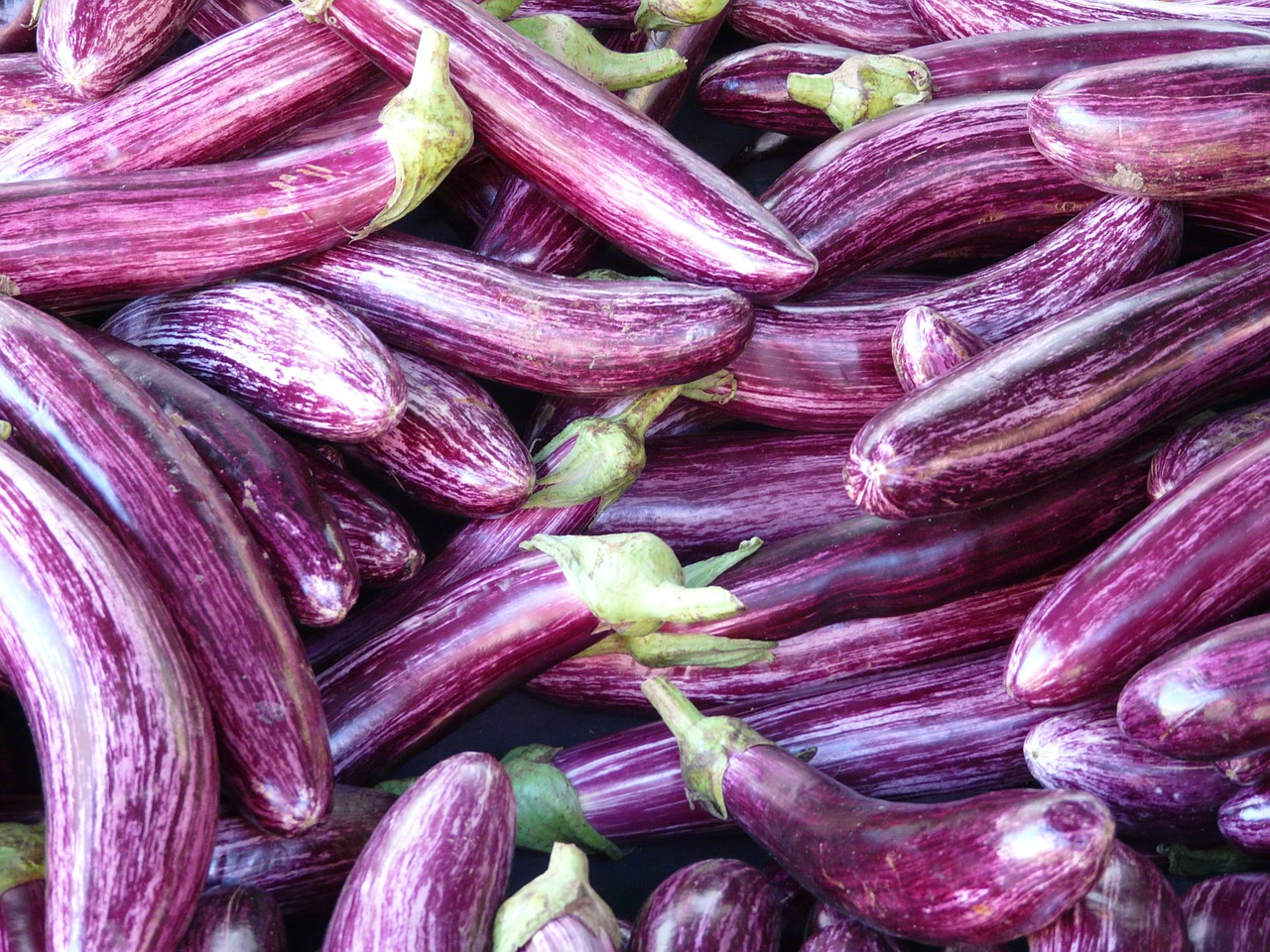 eggplant mark purple free photo
