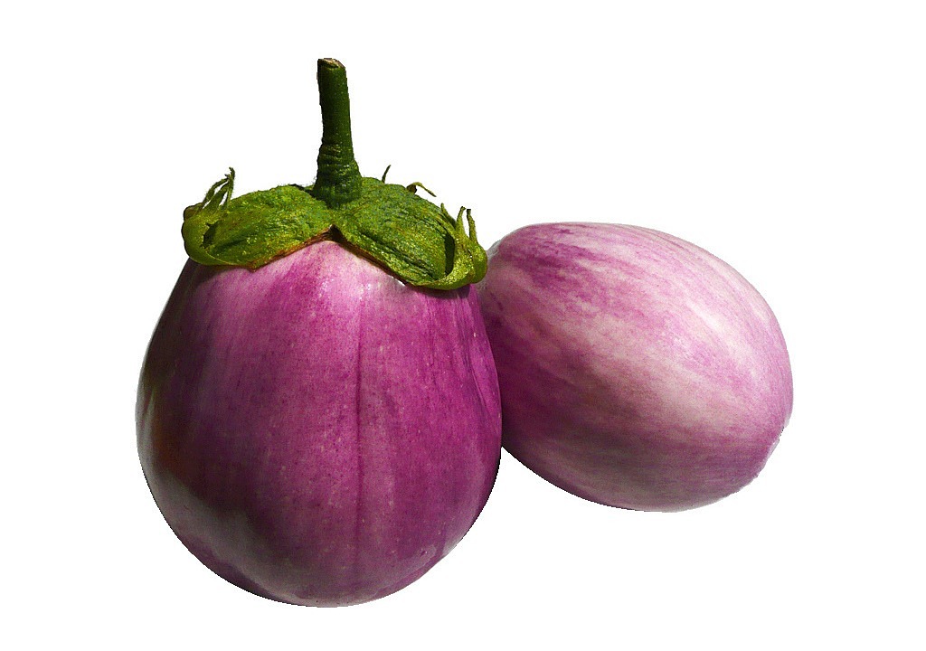 eggplant melanzana cook free photo