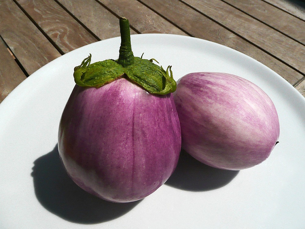 eggplant melanzana cook free photo