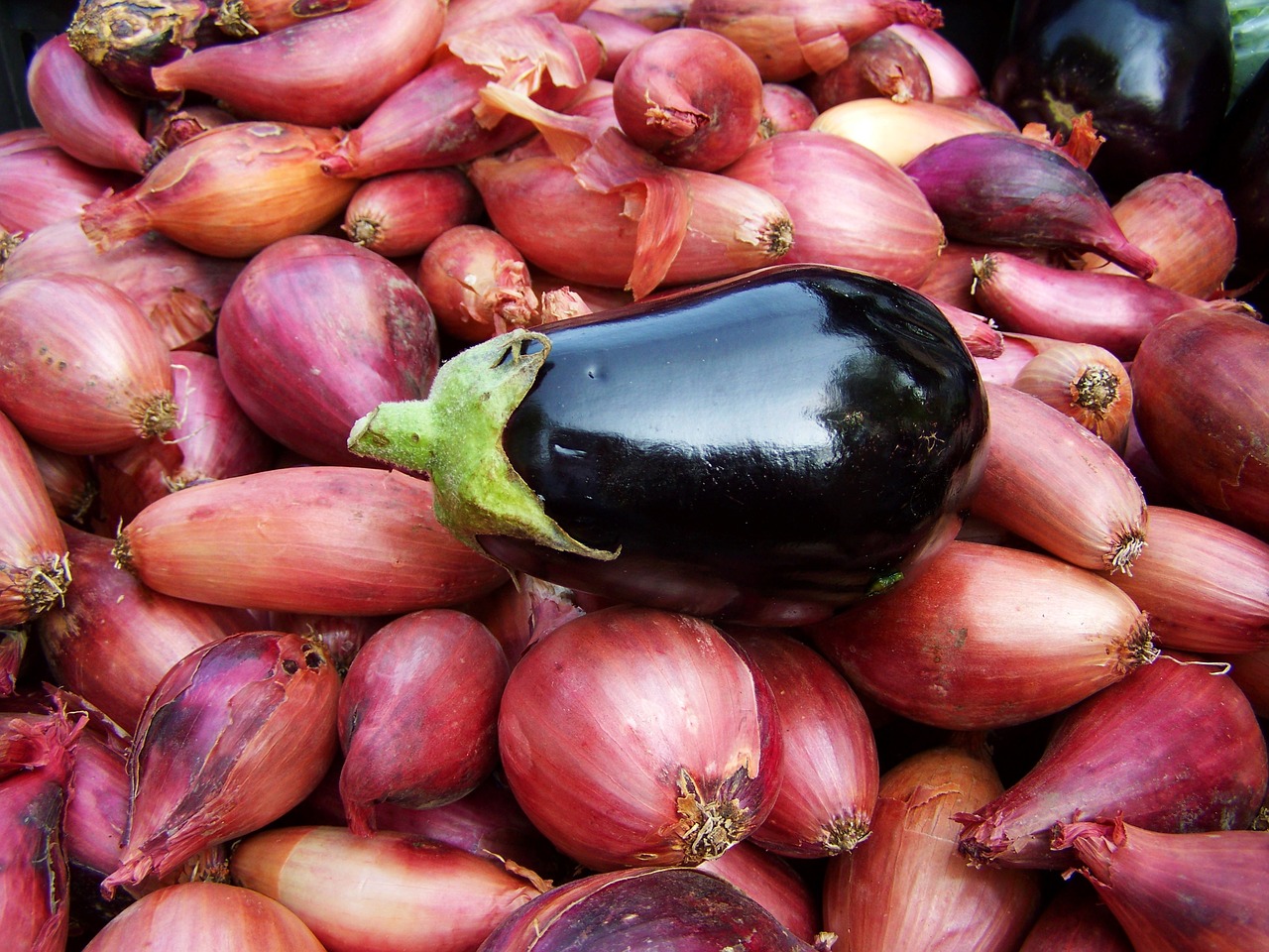 eggplant hagymaágyon vegetables food free photo