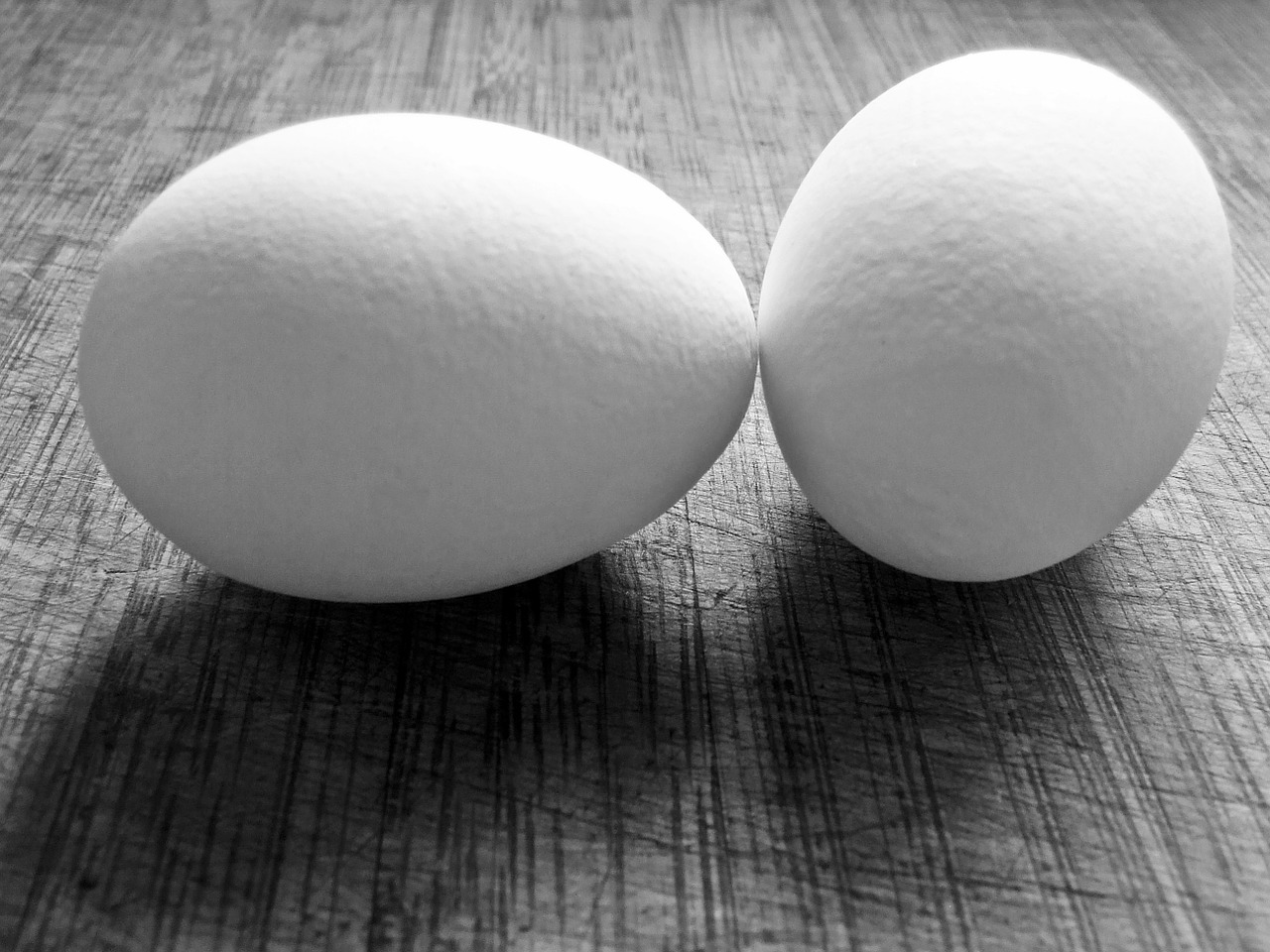 eggs white eggs shell free photo