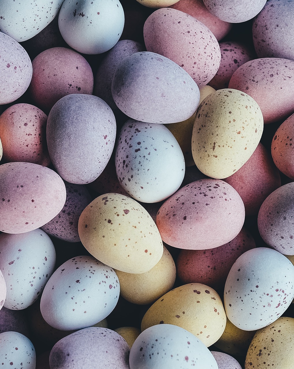 eggs easter eggs candy free photo