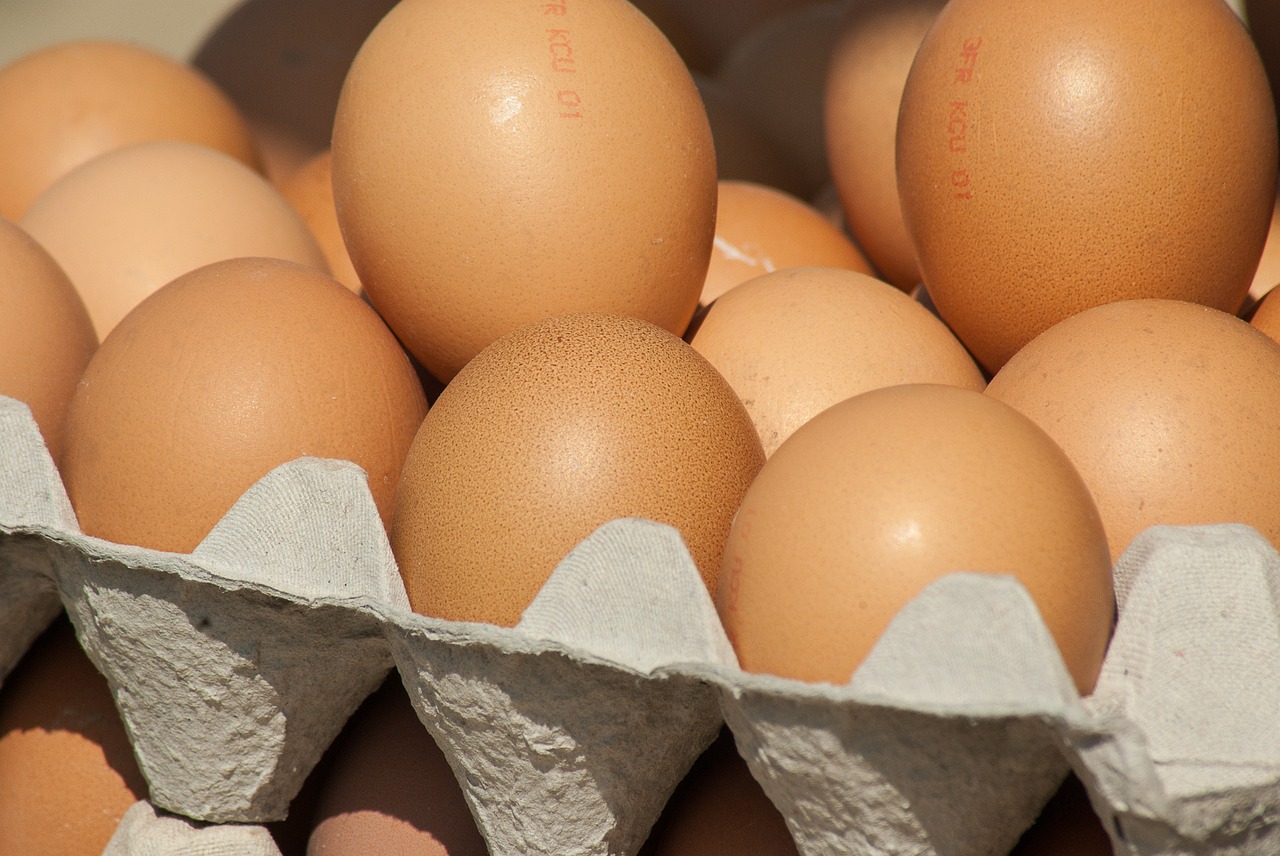 eggs market hens free photo