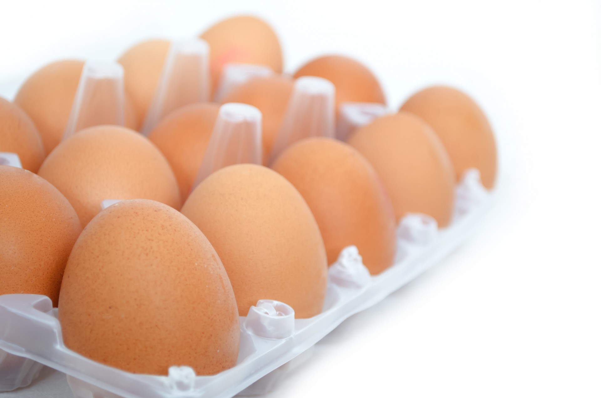 أسعار البيض الأحمر أسعار البيض البلدي سعر كرتونة البيض اليوم سعر البيض اليوم