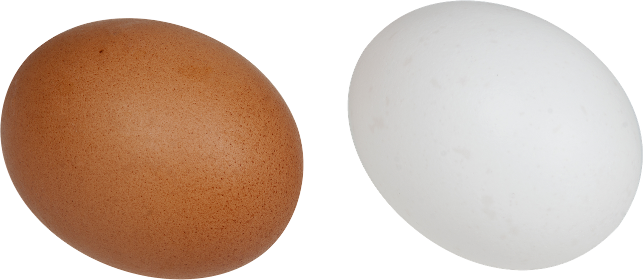 eggs white brown free photo