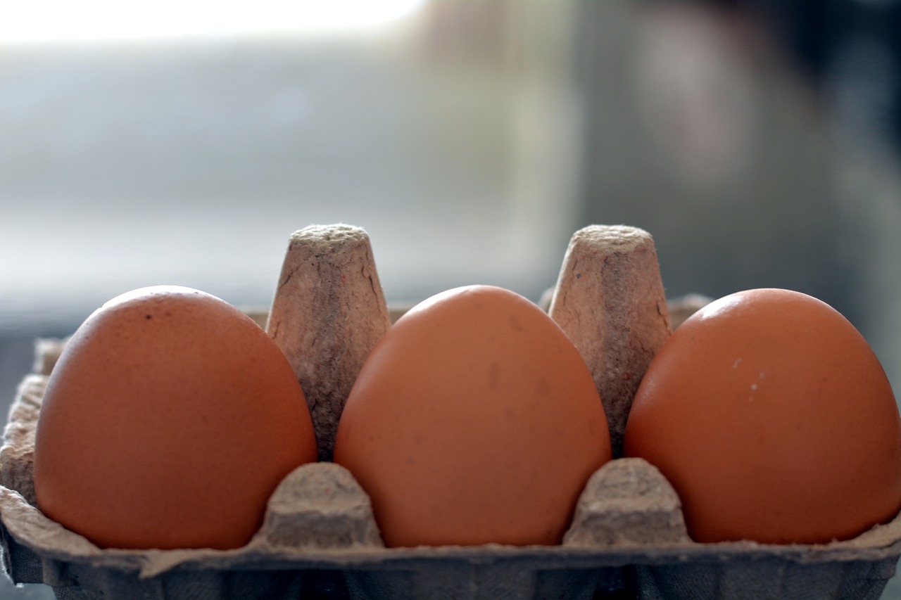 eggs food nutrition free photo