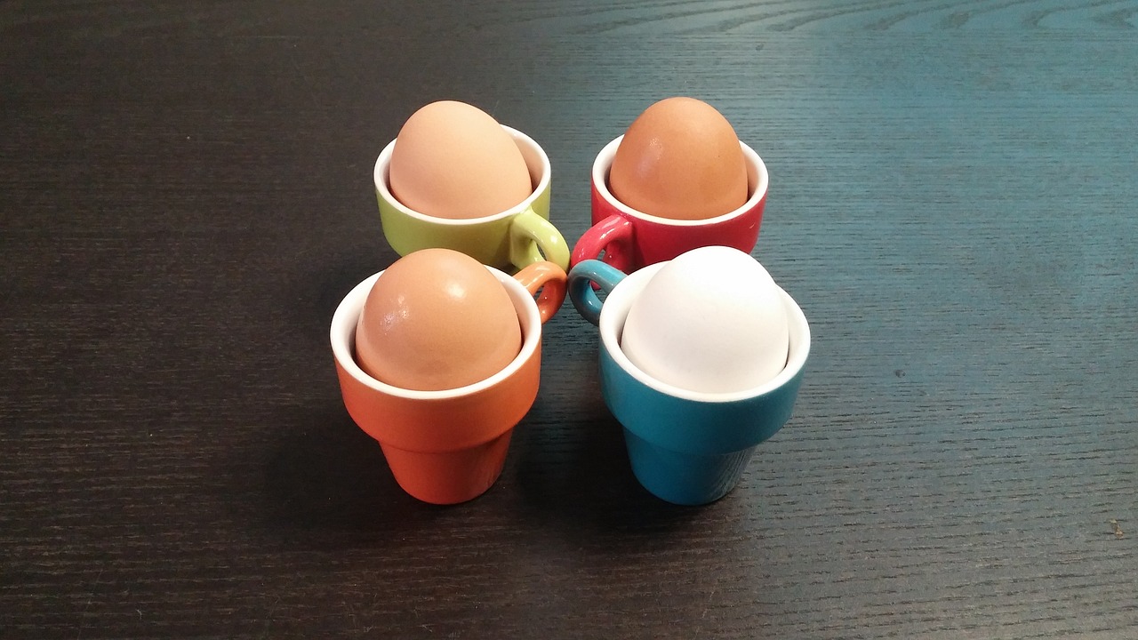 eggs cups cuisine free photo