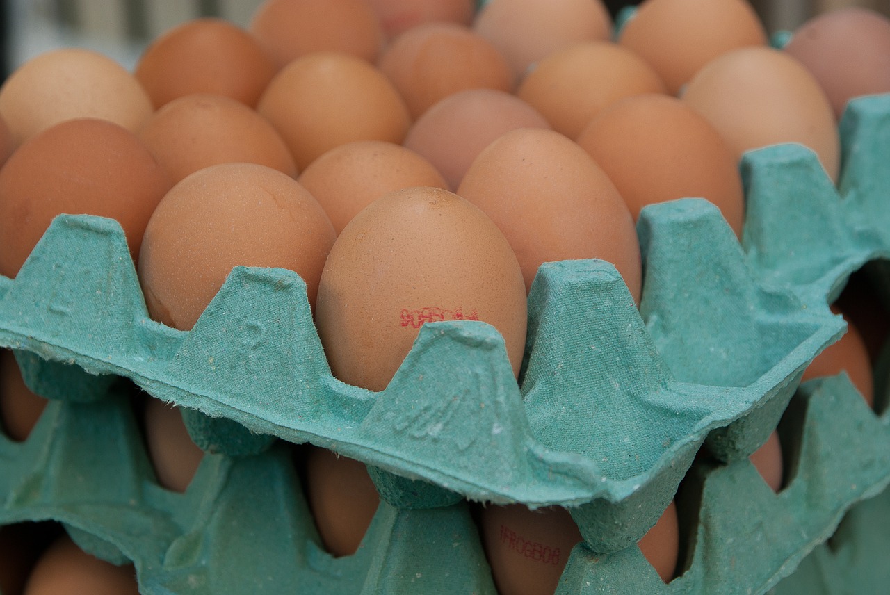 eggs market hens free photo