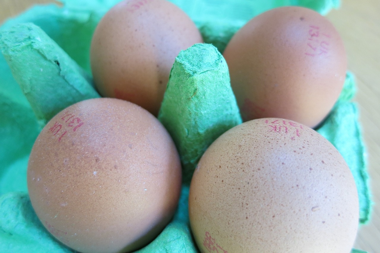 eggs fresh raw free photo