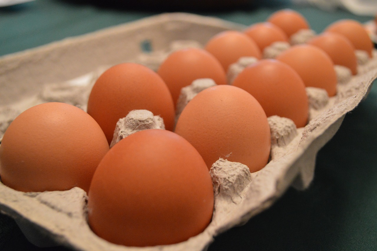 eggs dairy food free photo