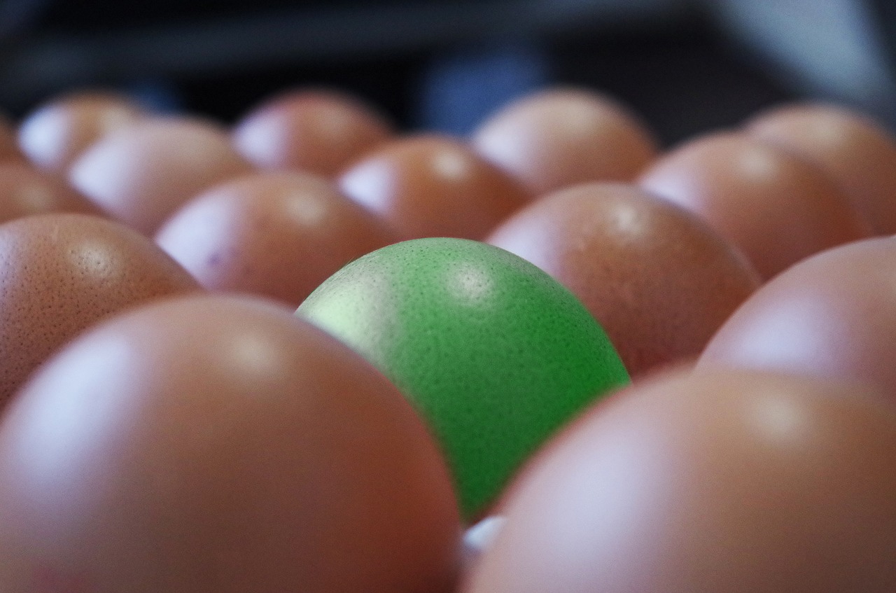 eggs container brown free photo