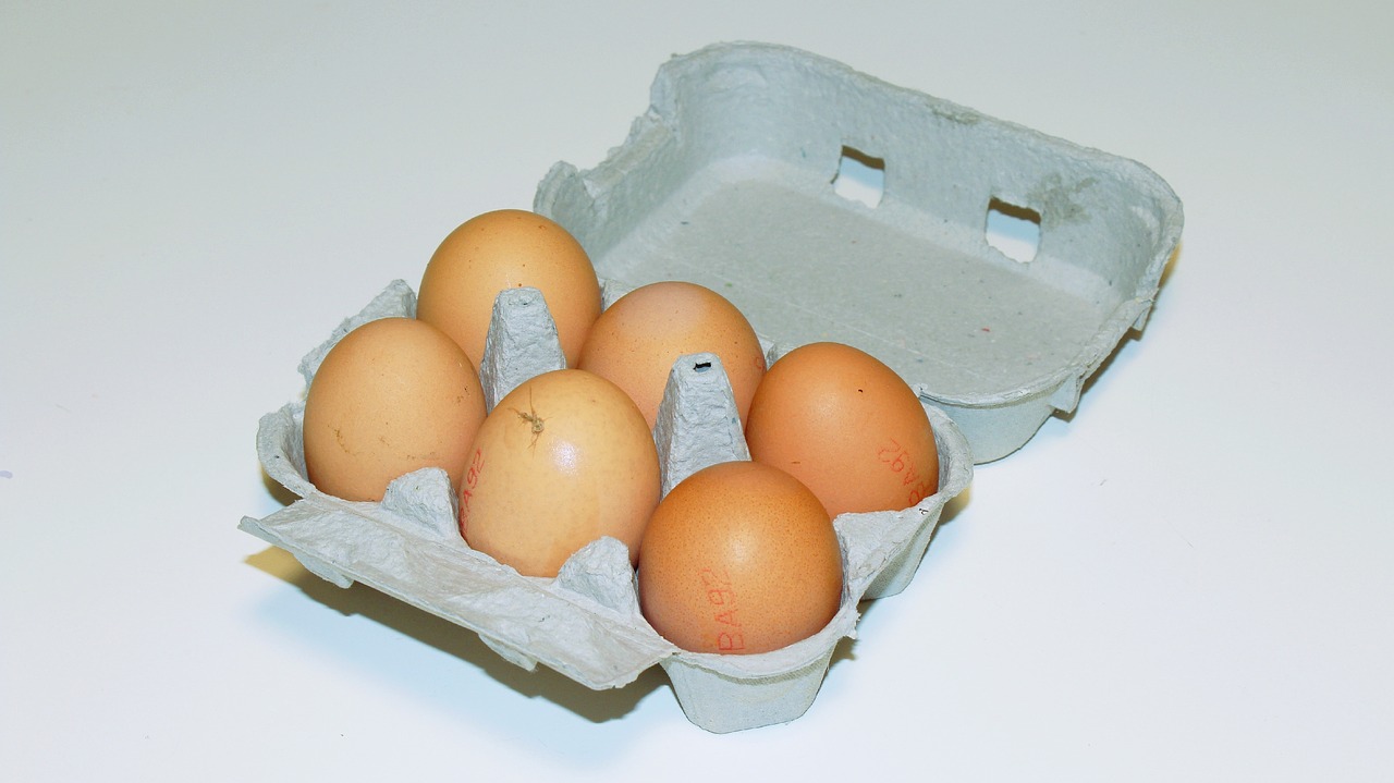eggs egg food free photo
