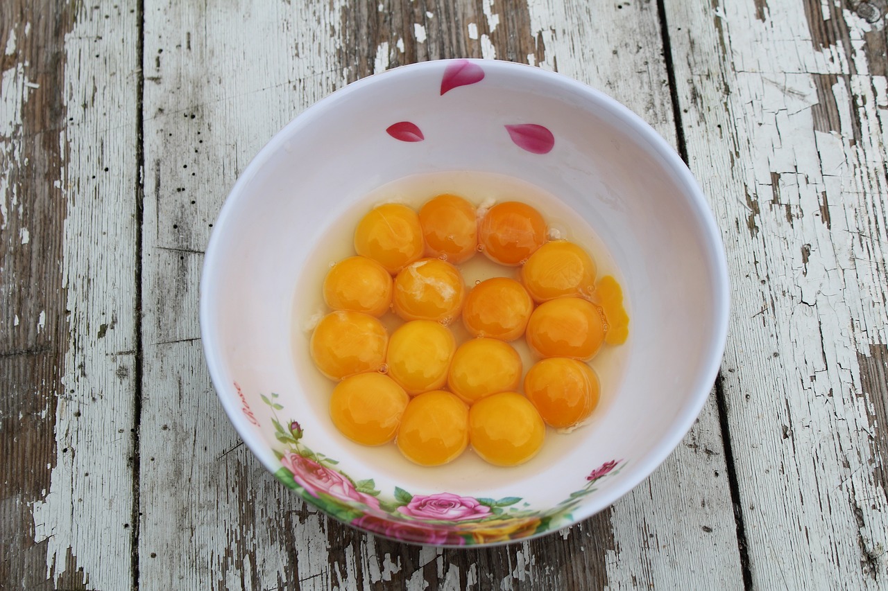 eggs yolks the egg yolks in a bowl free photo