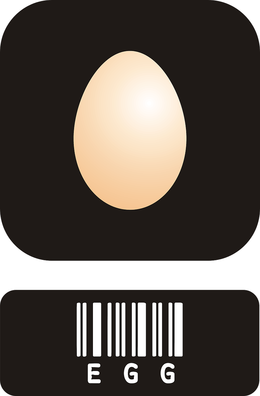 eggs protein choline free photo