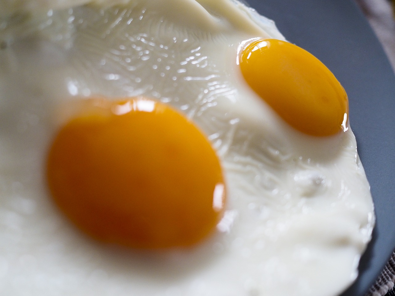 eggs breakfast organic free photo